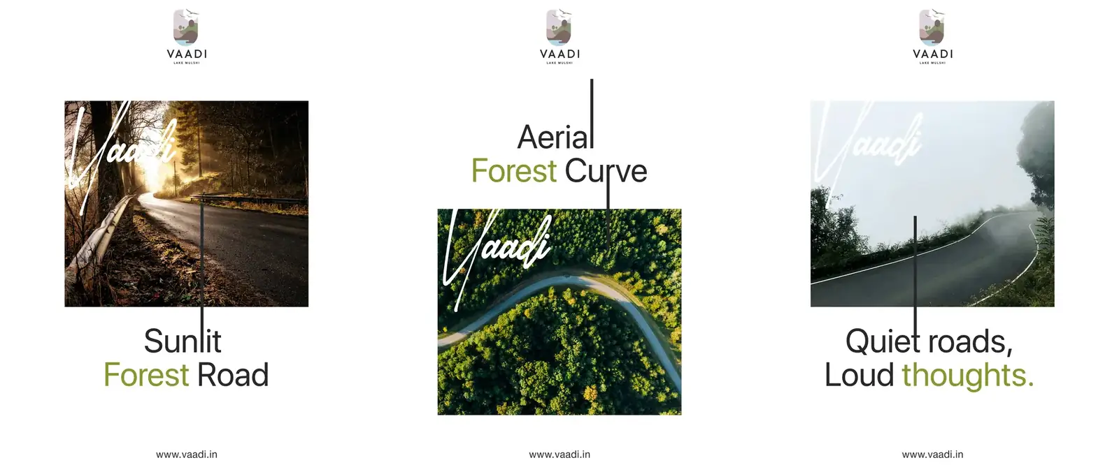 Vaadi posts about forest roads